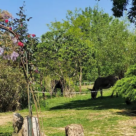 Pey Sud بيت ضيافة Sistels