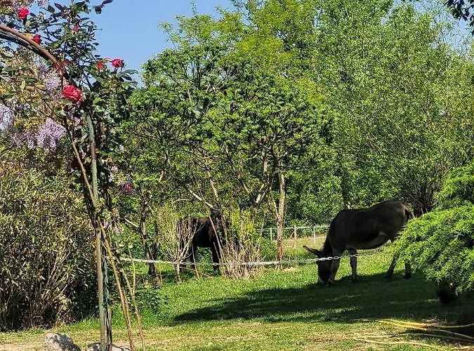 Pey Sud بيت ضيافة Sistels